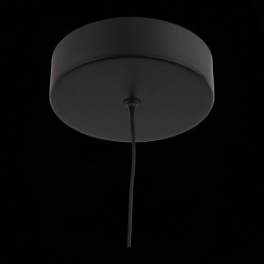 Подвесной светильник ST-Luce Bisaria SL393.403.01 в Троицке - troick.mebel24.online | фото 8