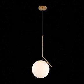 Подвесной светильник ST-Luce Codda SL1148.303.01 в Троицке - troick.mebel24.online | фото 5