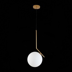 Подвесной светильник ST-Luce Codda SL1148.303.01 в Троицке - troick.mebel24.online | фото 6