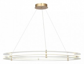 Подвесной светильник ST-Luce FAGY SL6245.213.01 в Троицке - troick.mebel24.online | фото 2