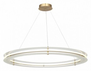 Подвесной светильник ST-Luce FAGY SL6245.213.01 в Троицке - troick.mebel24.online | фото 4