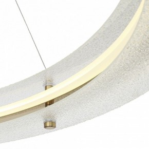 Подвесной светильник ST-Luce FAGY SL6245.213.01 в Троицке - troick.mebel24.online | фото 6