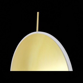 Подвесной светильник ST-Luce Imente SL1221.213.01 в Троицке - troick.mebel24.online | фото 9