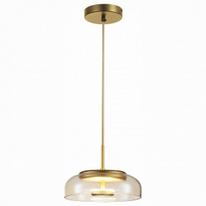 Подвесной светильник ST-Luce Lacio SL6002.203.01 в Троицке - troick.mebel24.online | фото