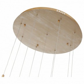Подвесной светильник ST-Luce SL1116 SL1116.203.09 в Троицке - troick.mebel24.online | фото 4