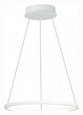 Подвесной светильник ST-Luce ST603 IN ST603.543.22 в Троицке - troick.mebel24.online | фото 3