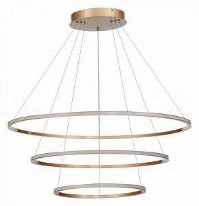 Подвесной светильник ST-Luce ST604 OUT ST604.243.114 в Троицке - troick.mebel24.online | фото 2