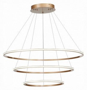 Подвесной светильник ST-Luce ST604 OUT ST604.243.114 в Троицке - troick.mebel24.online | фото 3