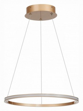 Подвесной светильник ST-Luce ST604 OUT ST604.243.22 в Троицке - troick.mebel24.online | фото 2