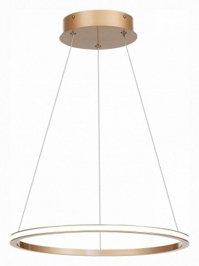 Подвесной светильник ST-Luce ST604 OUT ST604.243.22 в Троицке - troick.mebel24.online | фото 3