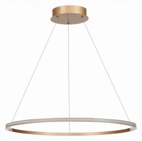 Подвесной светильник ST-Luce ST604 OUT ST604.243.34 в Троицке - troick.mebel24.online | фото 2