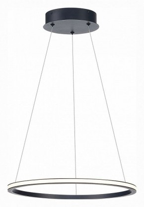 Подвесной светильник ST-Luce ST604 OUT ST604.443.22 в Троицке - troick.mebel24.online | фото 3
