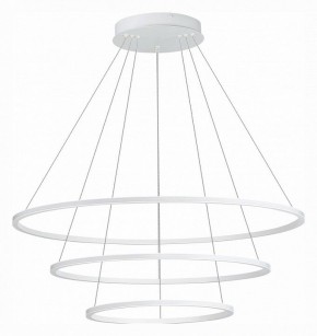 Подвесной светильник ST-Luce ST604 OUT ST604.543.114 в Троицке - troick.mebel24.online | фото 2