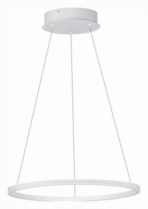 Подвесной светильник ST-Luce ST604 OUT ST604.543.22 в Троицке - troick.mebel24.online | фото 2