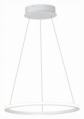 Подвесной светильник ST-Luce ST604 OUT ST604.543.22 в Троицке - troick.mebel24.online | фото 3
