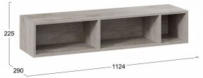 Полка навесная ТД-102.28 в Троицке - troick.mebel24.online | фото 8