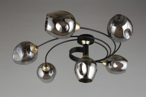 Потолочная люстра Aployt Flor APL.611.17.06 в Троицке - troick.mebel24.online | фото 1