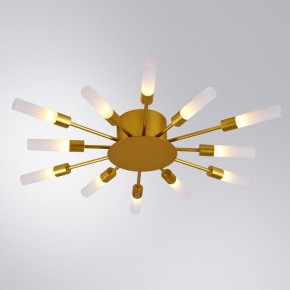 Потолочная люстра Arte Lamp Maple A1276PL-12GO в Троицке - troick.mebel24.online | фото 1