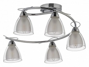 Потолочная люстра Arti Lampadari Paola, Tavenna Nickel Paola E 1.1.5 N в Троицке - troick.mebel24.online | фото