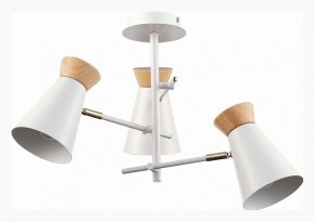 Потолочная люстра EVOLUCE Alfeo SLE1252-502-03 в Троицке - troick.mebel24.online | фото 2