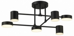 Потолочная люстра EVOLUCE Nobel SLE201042-06 в Троицке - troick.mebel24.online | фото 10