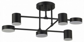 Потолочная люстра EVOLUCE Nobel SLE201042-06 в Троицке - troick.mebel24.online | фото 11