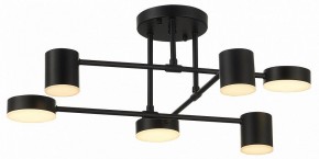 Потолочная люстра EVOLUCE Nobel SLE201042-06 в Троицке - troick.mebel24.online | фото 12