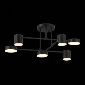 Потолочная люстра EVOLUCE Nobel SLE201042-06 в Троицке - troick.mebel24.online | фото 13