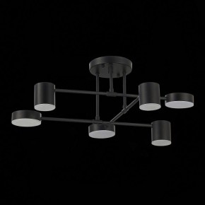 Потолочная люстра EVOLUCE Nobel SLE201042-06 в Троицке - troick.mebel24.online | фото 14