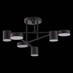Потолочная люстра EVOLUCE Nobel SLE201042-06 в Троицке - troick.mebel24.online | фото 2