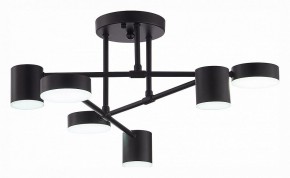 Потолочная люстра EVOLUCE Nobel SLE201042-06 в Троицке - troick.mebel24.online | фото 5