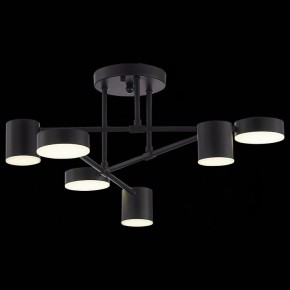 Потолочная люстра EVOLUCE Nobel SLE201042-06 в Троицке - troick.mebel24.online | фото 6