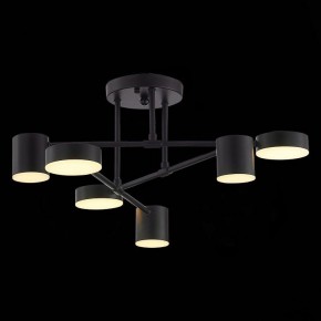 Потолочная люстра EVOLUCE Nobel SLE201042-06 в Троицке - troick.mebel24.online | фото 7