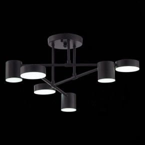 Потолочная люстра EVOLUCE Nobel SLE201042-06 в Троицке - troick.mebel24.online | фото 9