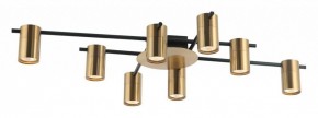 Потолочная люстра Favourite Topper 2827-8P в Троицке - troick.mebel24.online | фото 2