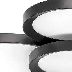 Потолочная люстра Lightstar Breve 749081 в Троицке - troick.mebel24.online | фото 4