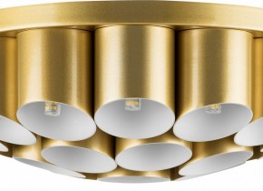Потолочная люстра Lightstar Siena 720222 в Троицке - troick.mebel24.online | фото 3