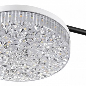 Потолочная люстра Lumion Didana 8236/4CL в Троицке - troick.mebel24.online | фото 10