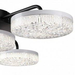 Потолочная люстра Lumion Didana 8236/4CL в Троицке - troick.mebel24.online | фото 7