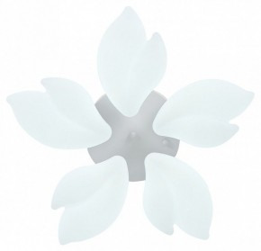 Потолочная люстра Natali Kovaltseva Effect LED LAMPS 81116 в Троицке - troick.mebel24.online | фото 3