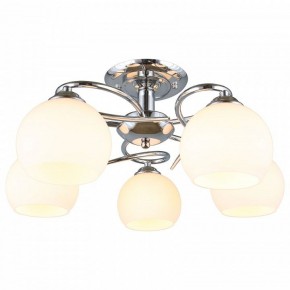 Потолочная люстра Omnilux Casoria OML-25107-05 в Троицке - troick.mebel24.online | фото 2