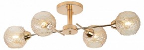 Потолочная люстра Rivoli Amalia Б0050815 в Троицке - troick.mebel24.online | фото 2