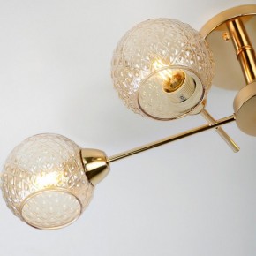 Потолочная люстра Rivoli Amalia Б0050815 в Троицке - troick.mebel24.online | фото 8