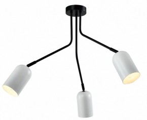 Потолочная люстра Rivoli Rosalinda Б0064987 в Троицке - troick.mebel24.online | фото 2