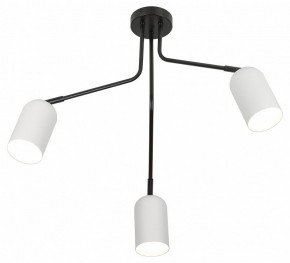 Потолочная люстра Rivoli Rosalinda Б0064987 в Троицке - troick.mebel24.online | фото 4