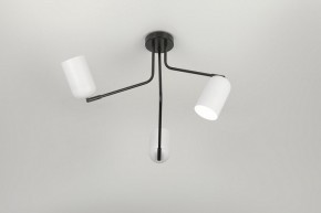 Потолочная люстра Rivoli Rosalinda Б0064987 в Троицке - troick.mebel24.online | фото 7