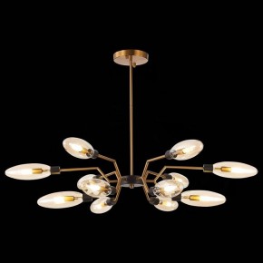 Потолочная люстра ST-Luce Desima SL1174.303.12 в Троицке - troick.mebel24.online | фото 2