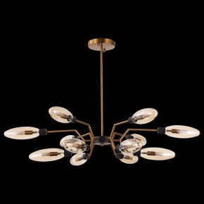 Потолочная люстра ST-Luce Desima SL1174.303.12 в Троицке - troick.mebel24.online | фото 4