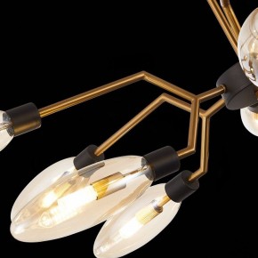Потолочная люстра ST-Luce Desima SL1174.303.12 в Троицке - troick.mebel24.online | фото 9