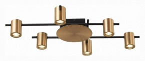 Потолочная люстра ST-Luce Veroli SL1207.402.06 в Троицке - troick.mebel24.online | фото 3
